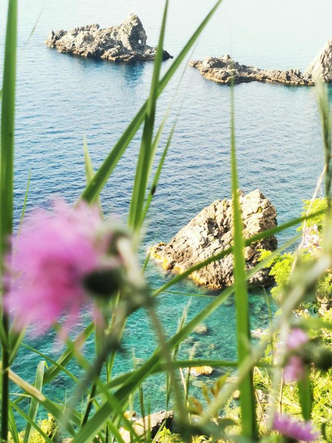 La Terrazza Di Rovaglioso Appartement Palmi Buitenkant foto